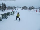 My Gallery (92/109)